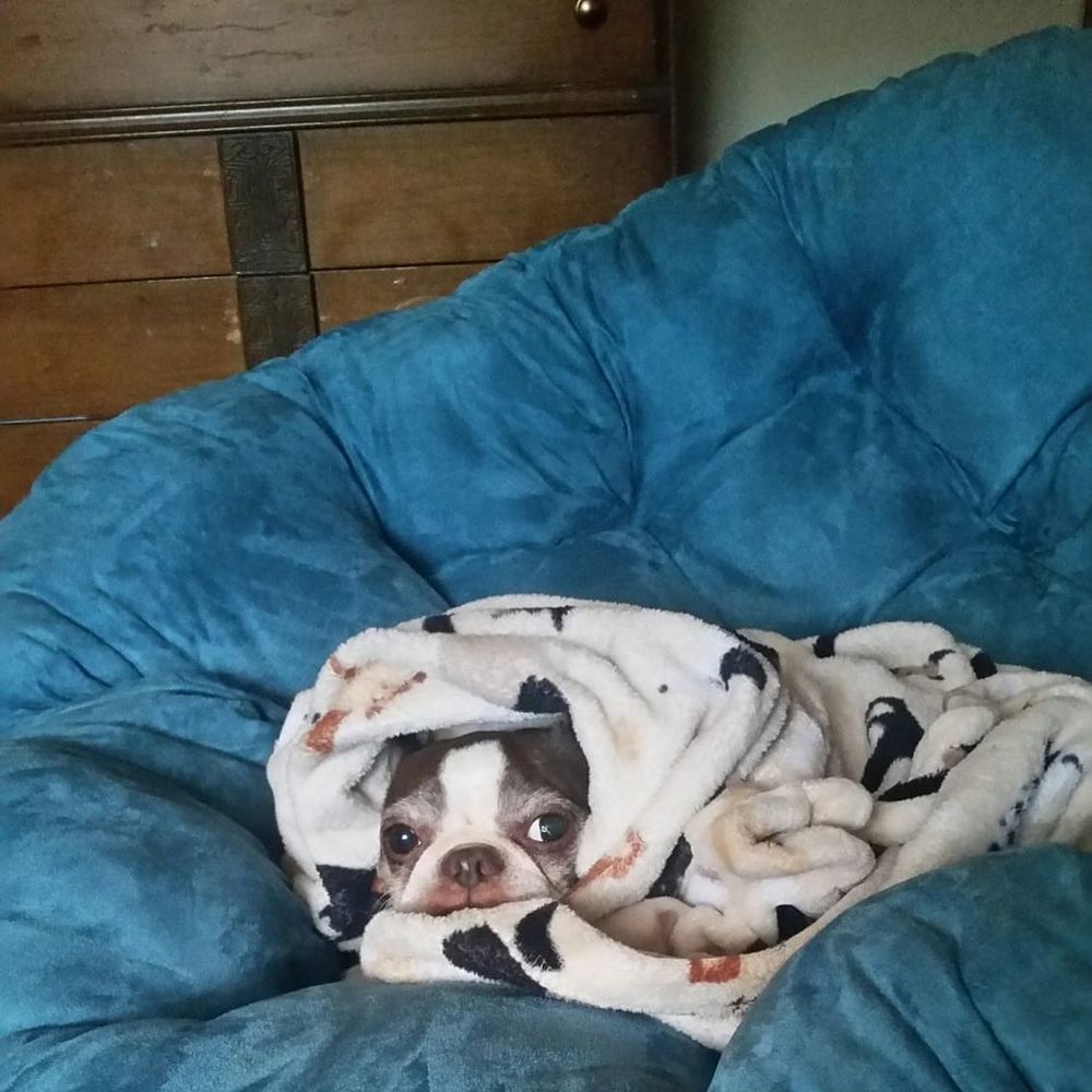 Meet your Posher, Laura